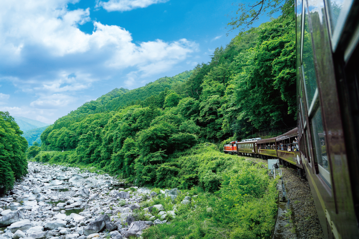 夏の渡良瀬渓谷アドベンチャー トロッコ列車、銅山観光、廃線ウォーク