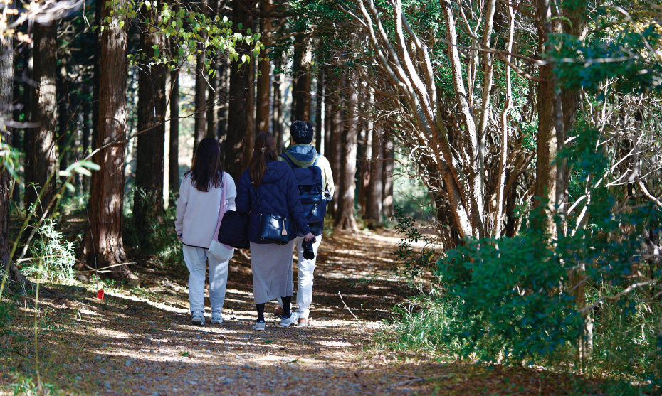 自然とつながる森時間 森林セラピーと農村ガストロノミー
